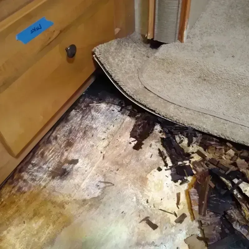 Wood Floor Water Damage in Eastpoint, FL